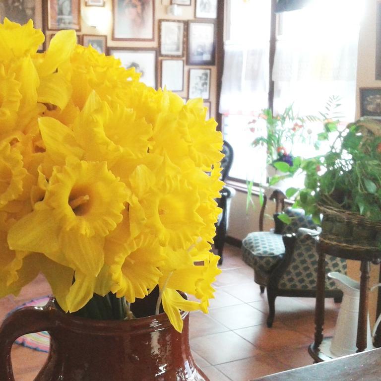 Hostal Santa Agueda Tarazona Экстерьер фото
